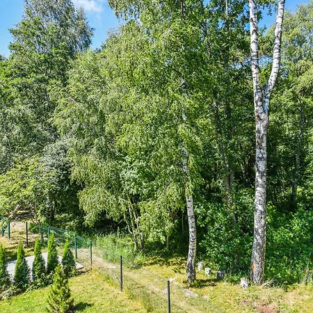 Erdvus Apartamentai Vanagupeje Appartamento