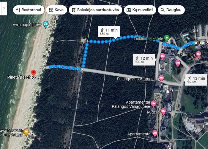 Erdvus Apartamentai Vanagupeje Apartman *